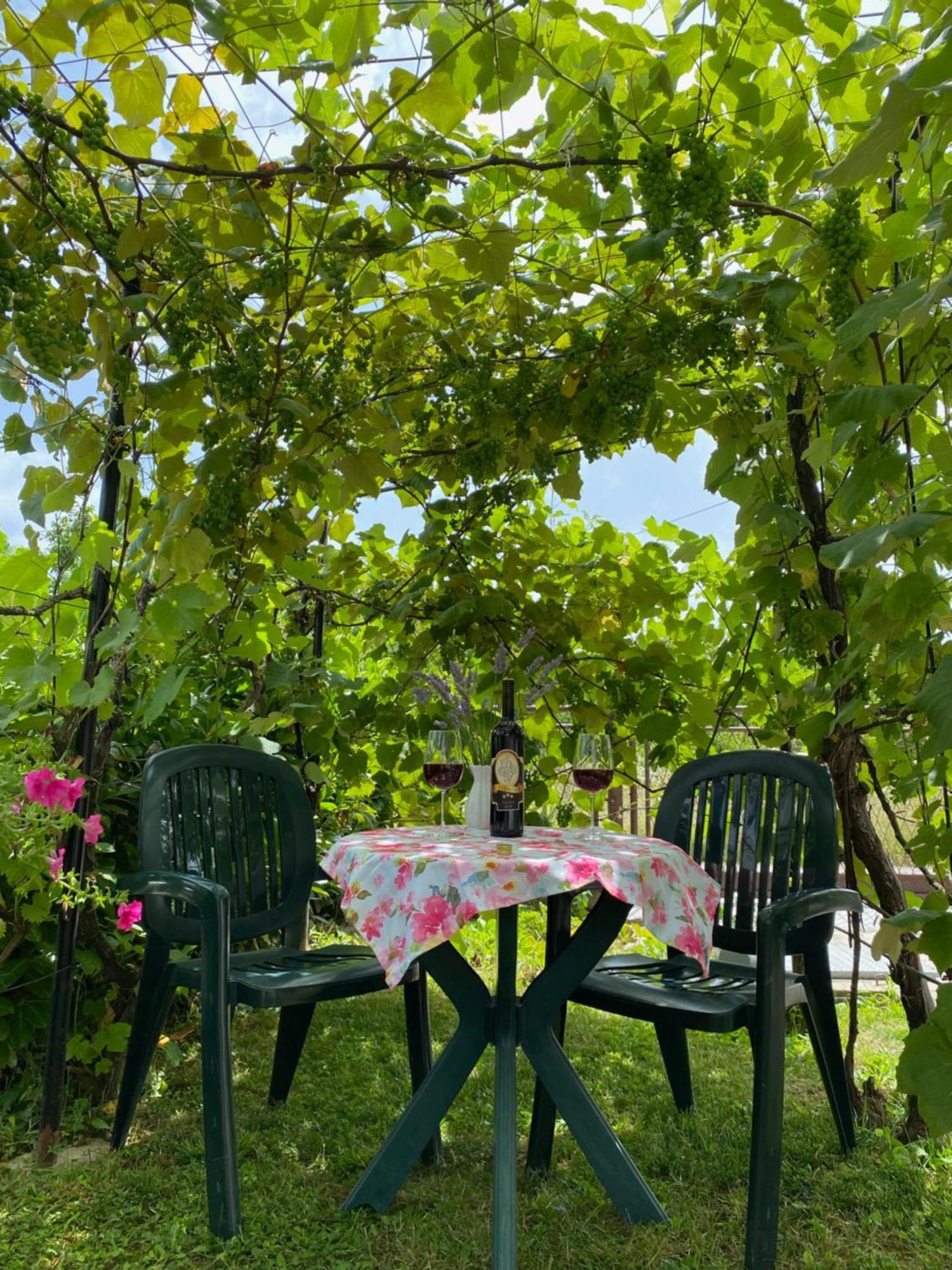Studio Apartment Adrijana Ζάγκρεμπ Εξωτερικό φωτογραφία